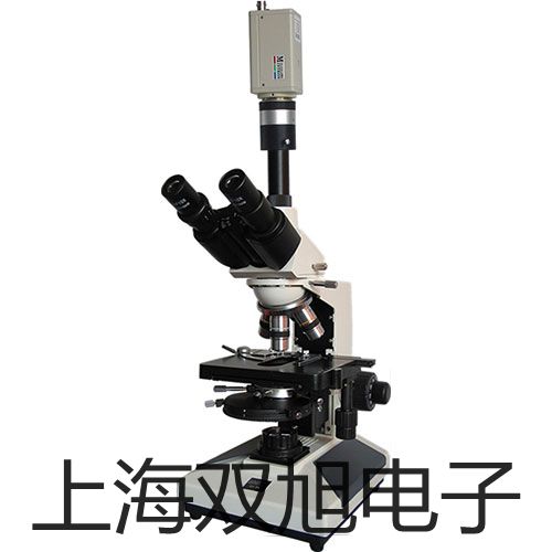 奧豪斯CKW檢重臺秤CKW15L55ZH駐馬店汝南聯(lián)系人