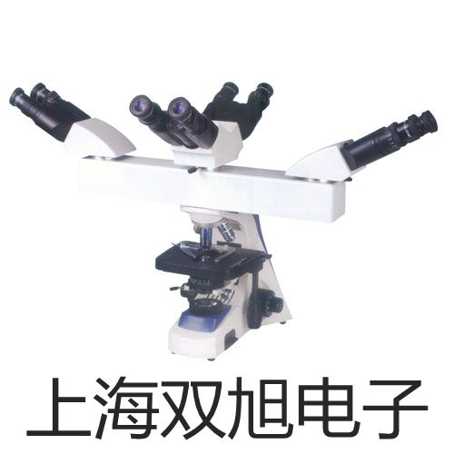 電極STORP2西藏日喀則亞東參數(shù)