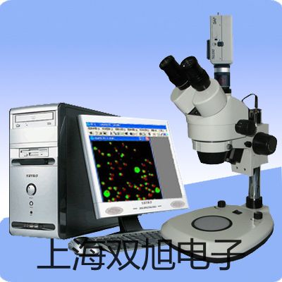 VICTOR 920數(shù)字萬用表衛(wèi)輝銷售