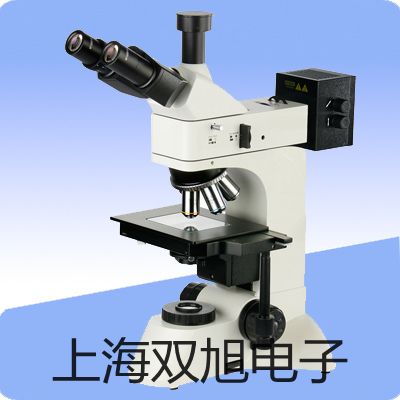 奧豪斯電子密度天平AR2202CN策勒原理