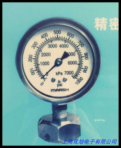 供應(yīng)精密數(shù)字壓力表 高精度壓力表 不銹鋼壓力表 數(shù)顯壓力表