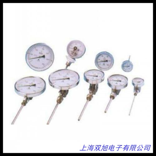 帶電信號(hào)輸出的氣包式組合型溫度計(jì),帶Pt100熱電阻