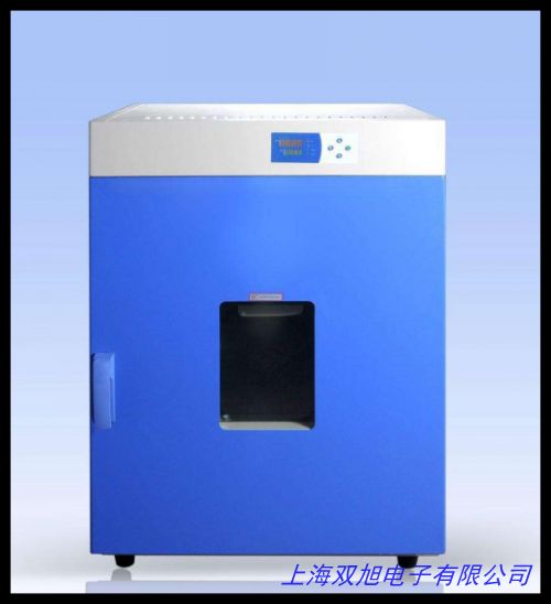電熱干燥箱 高溫烘箱 鼓風循環(huán)干燥箱 恒溫箱 老化箱溫控箱