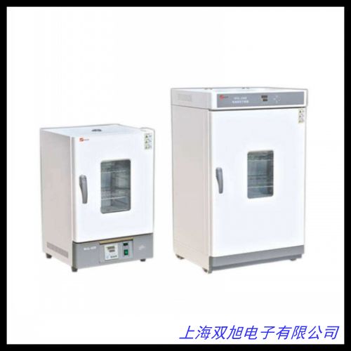 電熱鼓風(fēng)恒溫干燥箱 食品農(nóng)產(chǎn)品干燥箱 藥材干燥箱