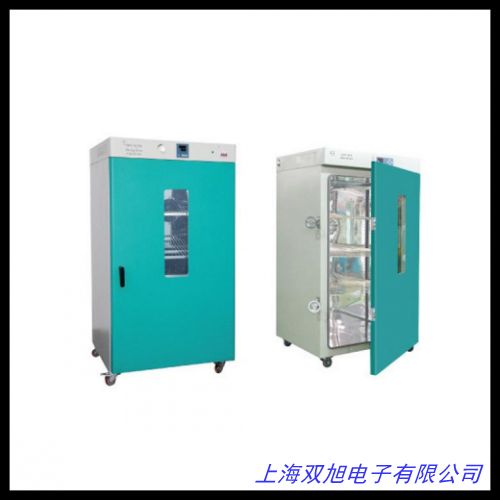 商用小型電熱烤箱烘干箱家用工業(yè)醫(yī)用實驗室鼓風式恒溫干燥箱