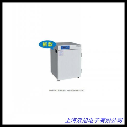 二氧化碳細(xì)胞培養(yǎng)箱 電熱恒溫細(xì)菌培養(yǎng)箱微生物高效過濾器