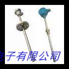 生產(chǎn)高溫高壓熱電偶耐磨鎧裝防腐抗震WR系列 現(xiàn)貨供應(yīng)